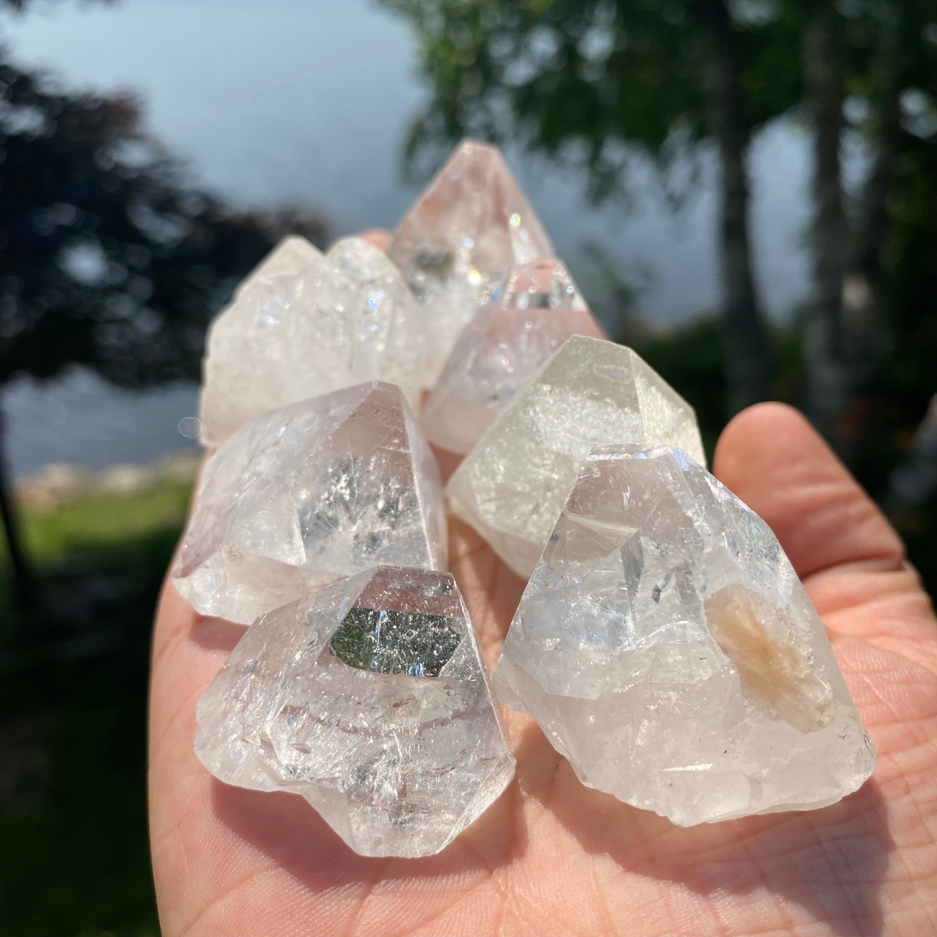 A collection of iridescent Apophyllite Polished Tips showcasing unique shapes and reflective surfaces.