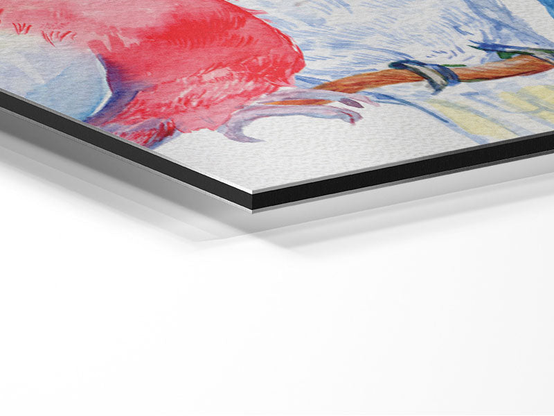 A vibrant array of watercolour parrots printed on brushed aluminium dibond, showcasing colorful and detailed bird illustrations.