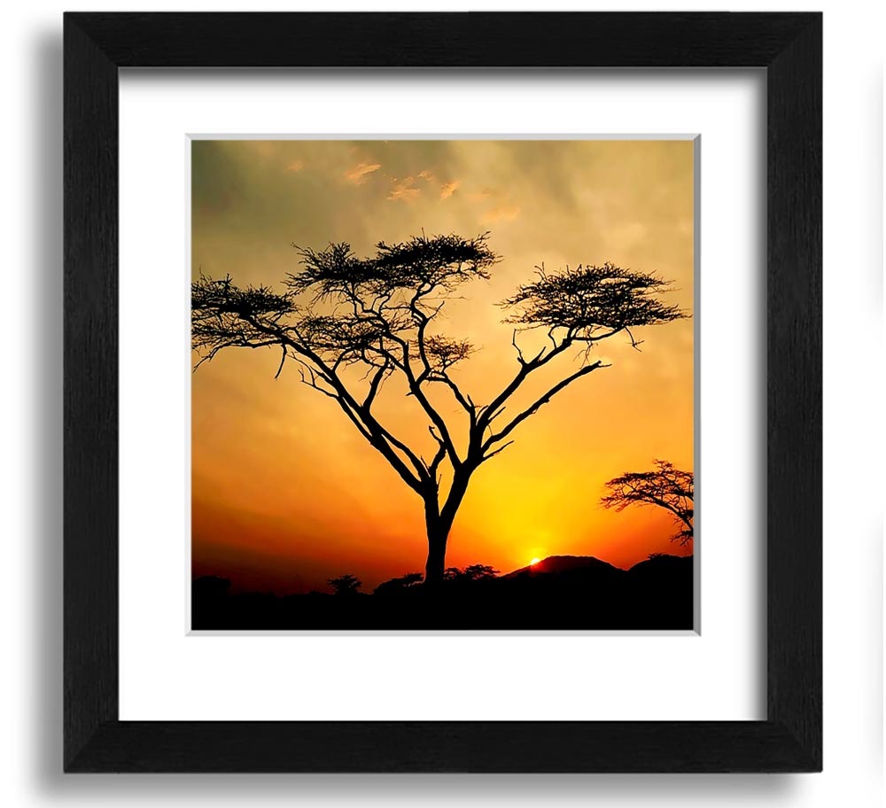 Arcania Tree Sunblaze Square Framed Print showcasing a vibrant tree design in a stylish frame.