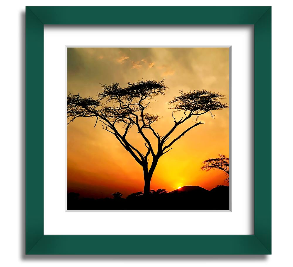 Arcania Tree Sunblaze Square Framed Print showcasing a vibrant tree design in a stylish frame.