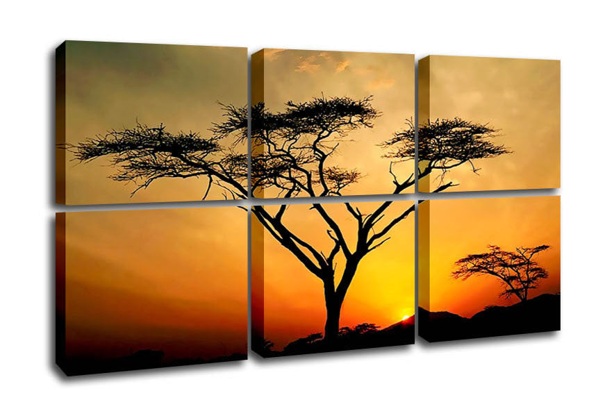 Arcania Tree Sunblaze canvas art mounted on a 44mm box frame, showcasing vibrant colors and intricate details.