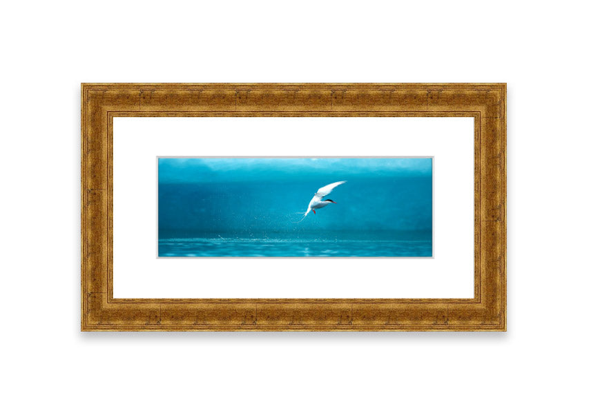 Framed Arctic Tern print showcasing vibrant colors and intricate details, ready to hang.