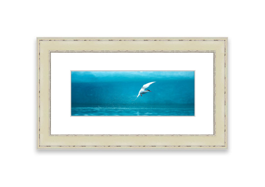 Framed Arctic Tern print showcasing vibrant colors and intricate details, ready to hang.