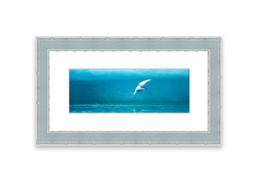 Framed Arctic Tern print showcasing vibrant colors and intricate details, ready to hang.