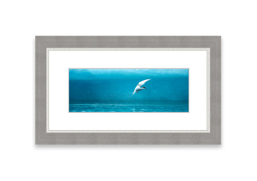Framed Arctic Tern print showcasing vibrant colors and intricate details, ready to hang.