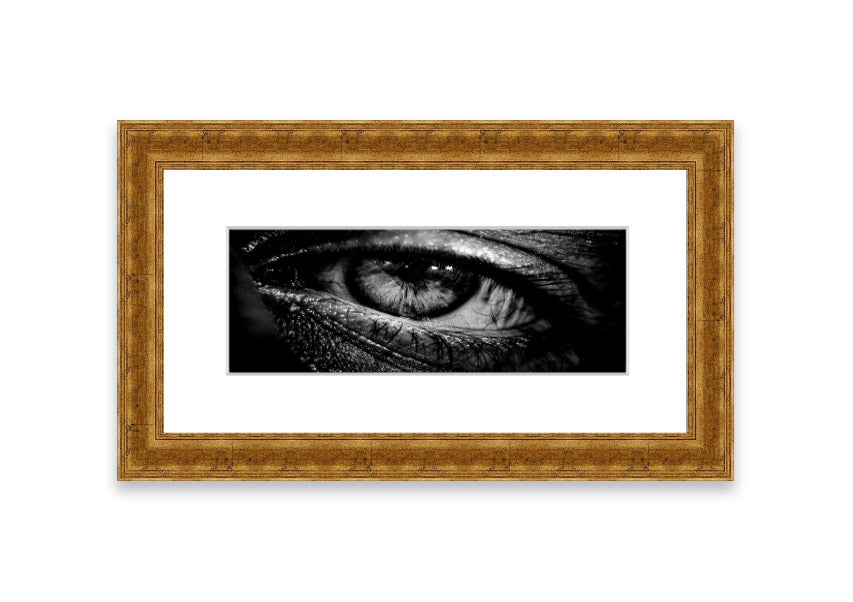 Armenia Hamlet framed print showcasing a beautiful Cornwall landscape, available in various frame colors.