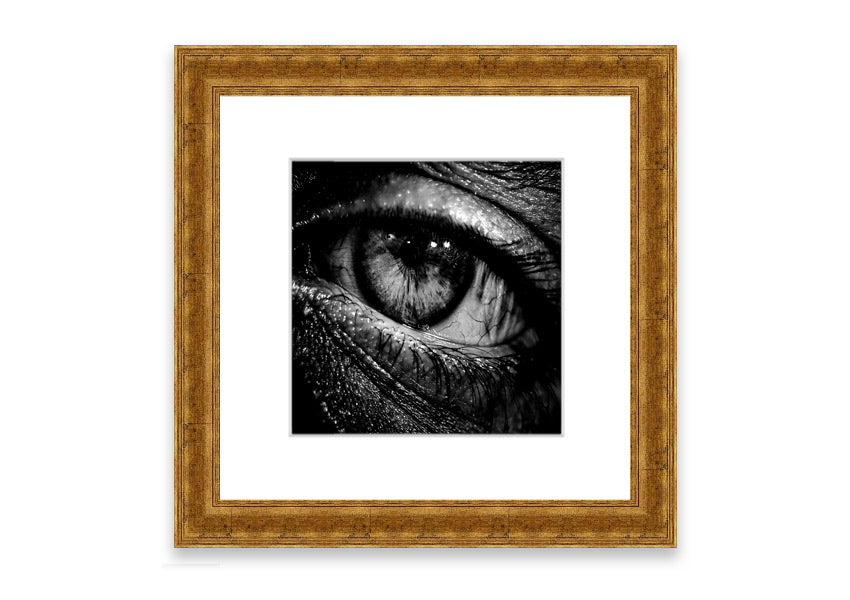 Armenia Hamlet framed print showcasing a beautiful Cornwall landscape, available in various frame colors.