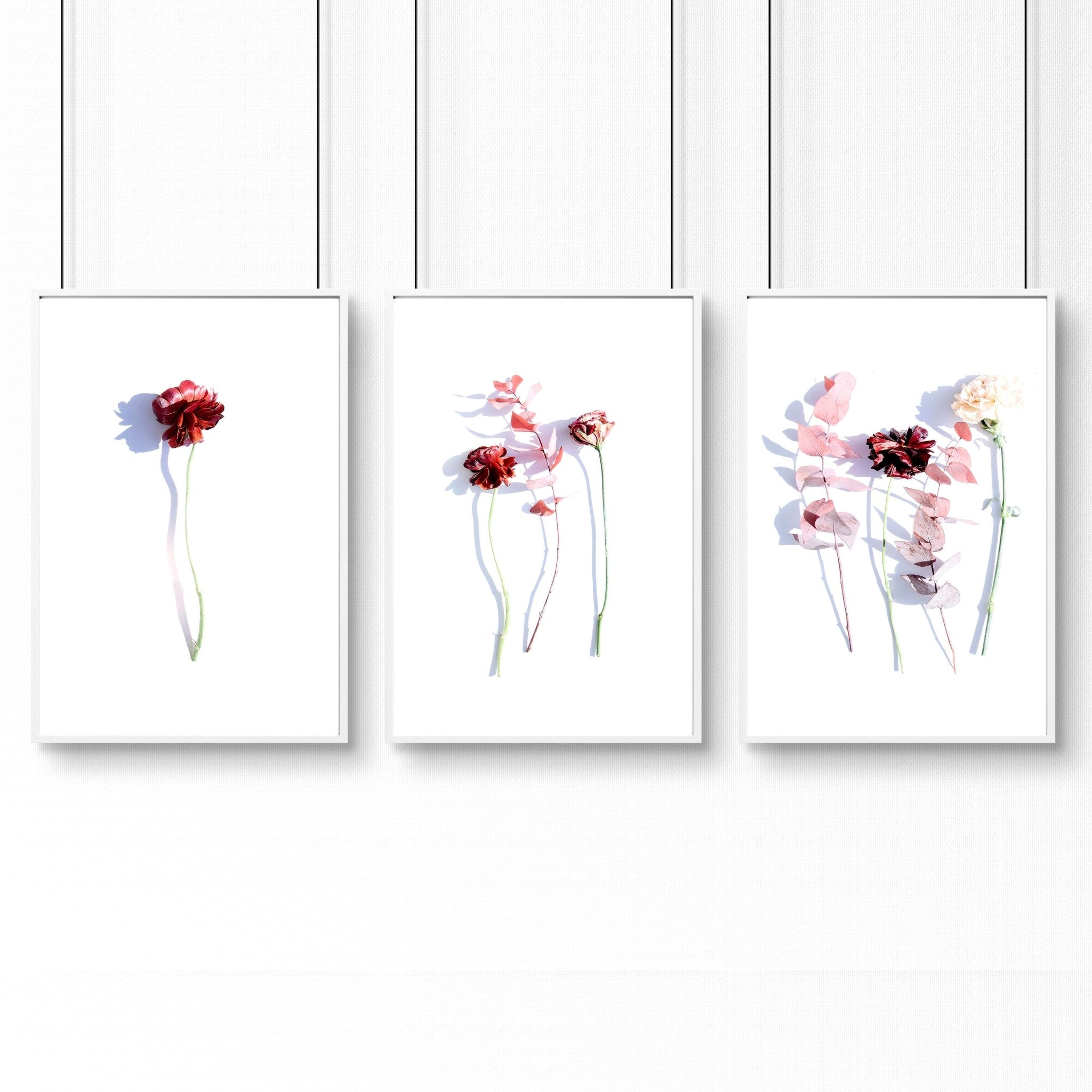 Set of 3 framed wall art prints featuring Shabby Chic Red and Blush Pink Roses, elegantly designed for home decor.