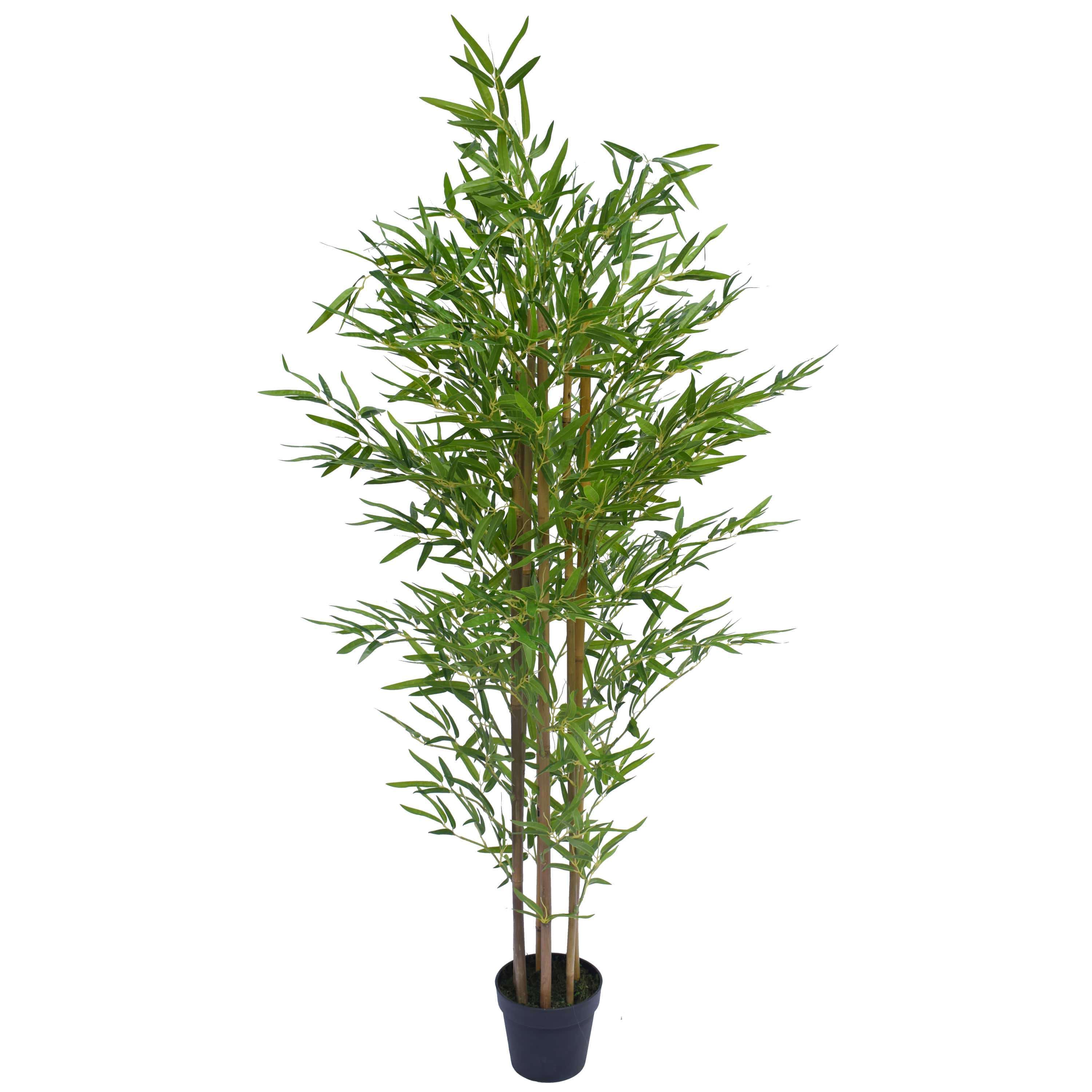 180cm Artificial Bamboo with natural trunks and real touch leaves, showcasing vibrant green foliage for a lifelike appearance.