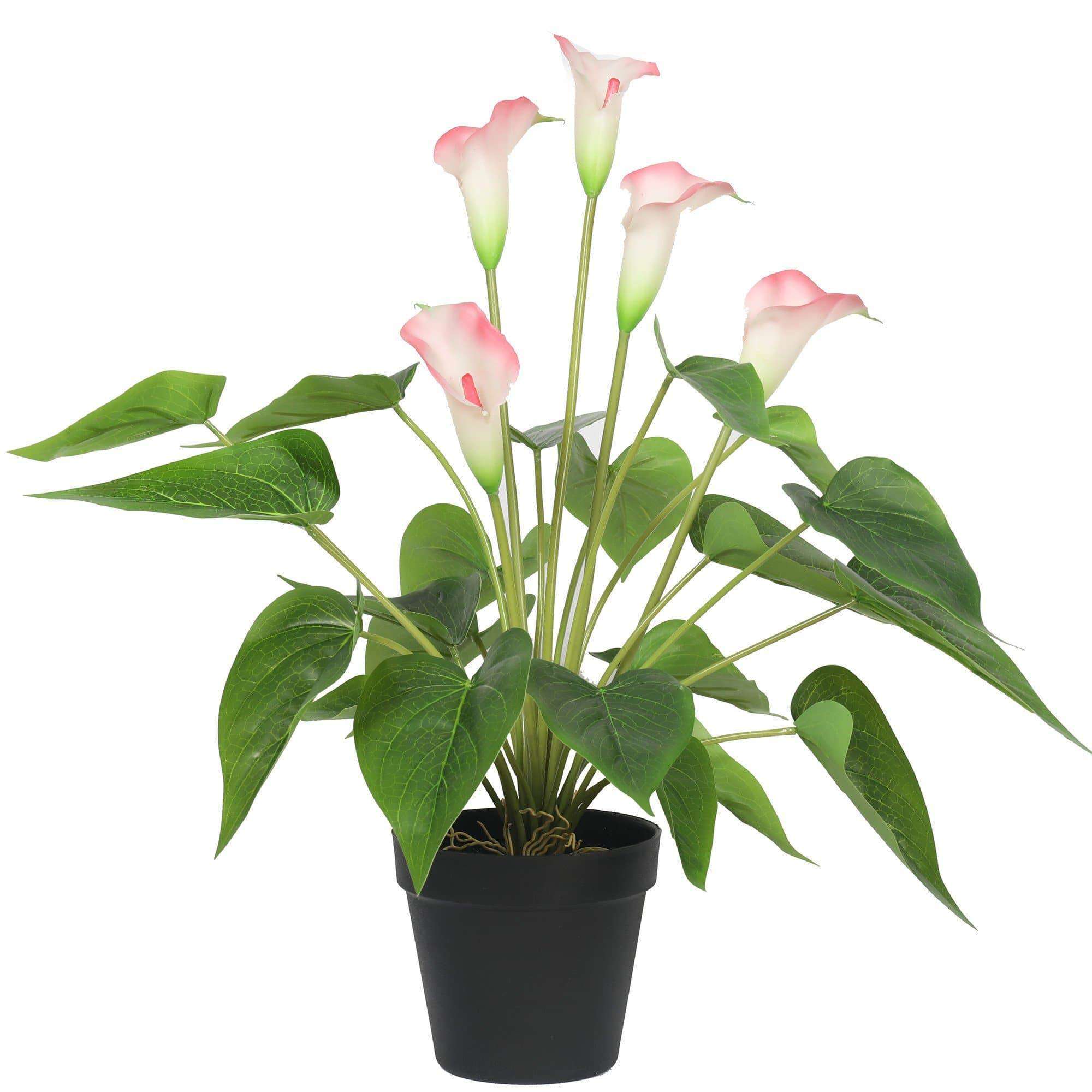 Artificial Flowering White & Pink Peace Lily in a decorative black pot, showcasing realistic pink and white flowers.