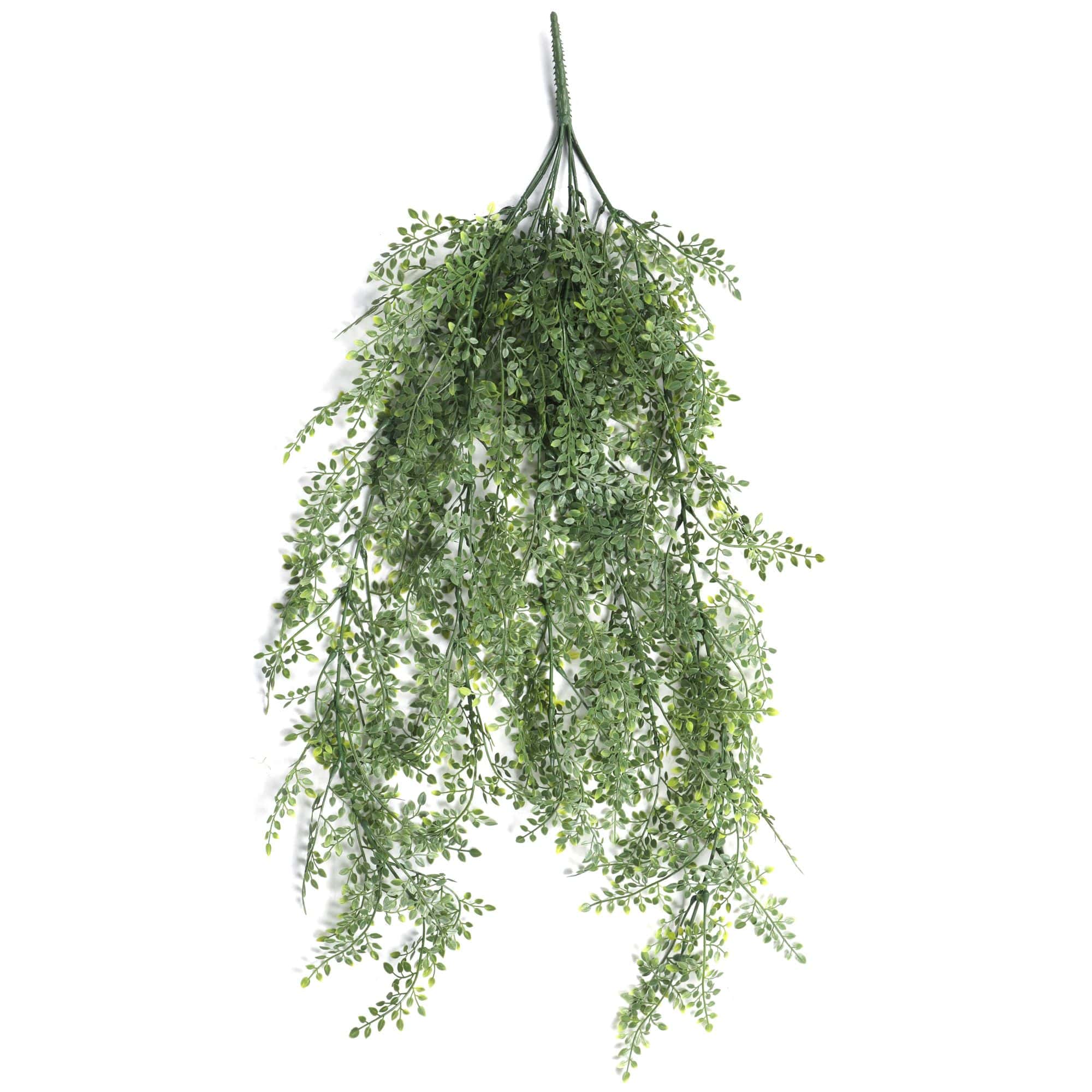 A lush, green artificial hanging Maiden Hair Fern, 90cm long, showcasing realistic leaves, perfect for indoor and outdoor decoration.