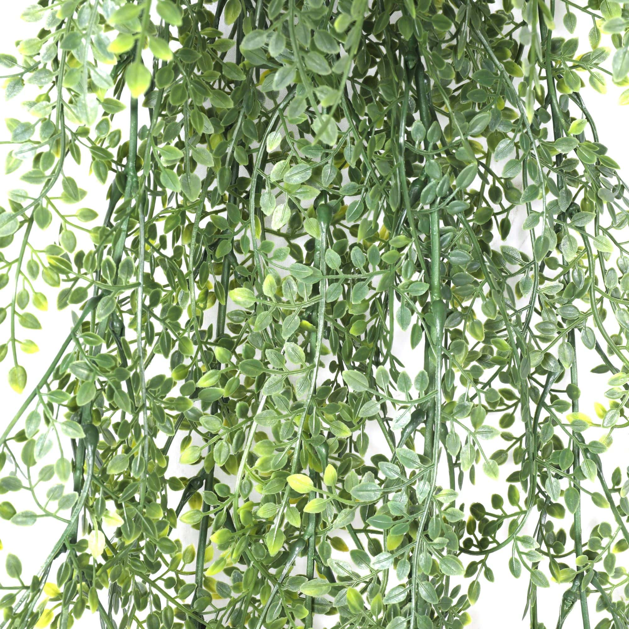 A lush, green artificial hanging Maiden Hair Fern, 90cm long, showcasing realistic leaves, perfect for indoor and outdoor decoration.