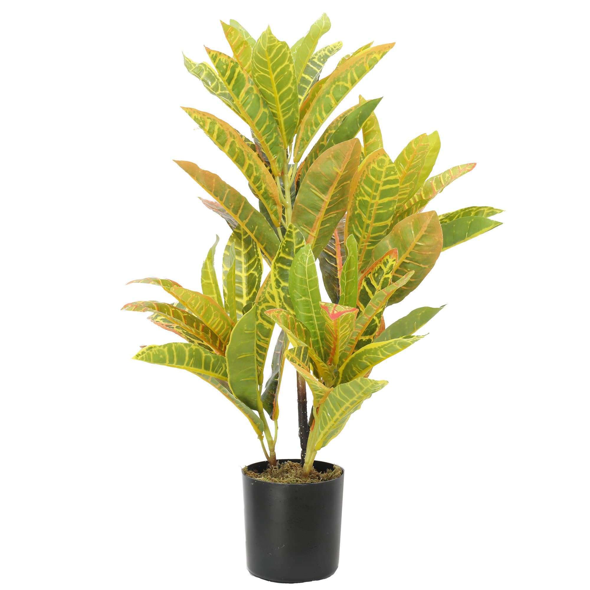 Artificial Potted Flaming Zebra plant with vibrant yellow and red foliage in a decorative pot, standing 55cm tall.