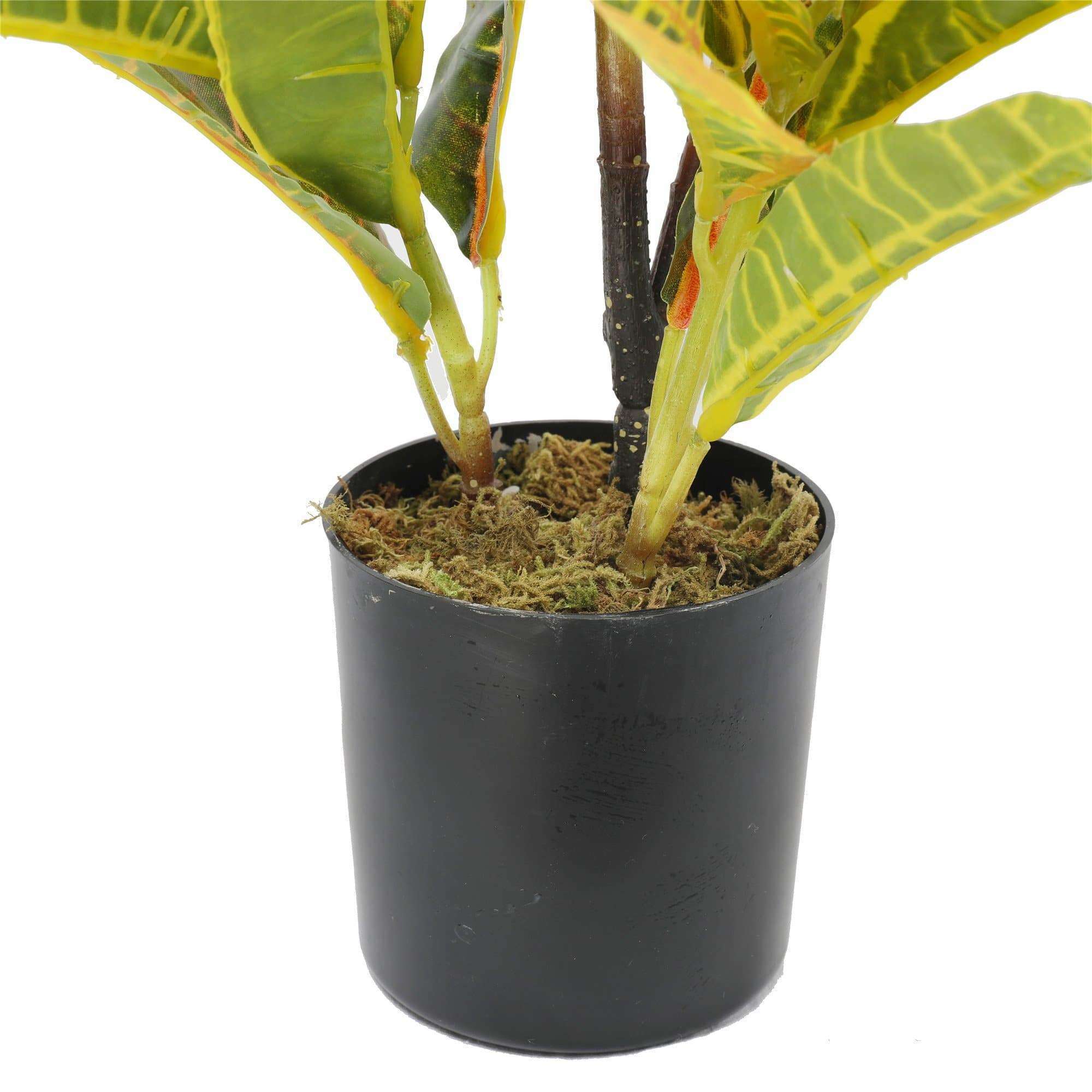 Artificial Potted Flaming Zebra plant with vibrant yellow and red foliage in a decorative pot, standing 55cm tall.