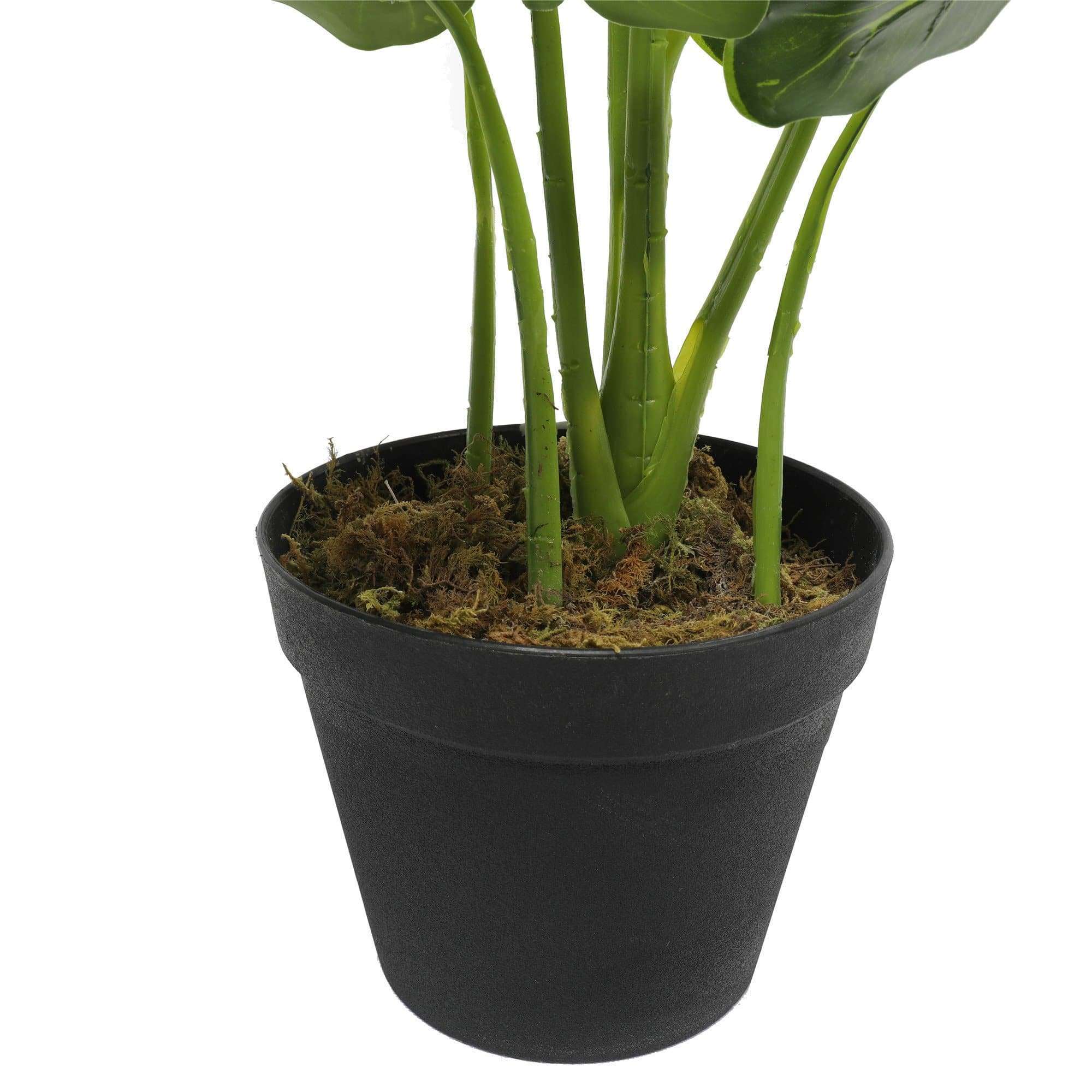 Artificial potted taro plant with vibrant green leaves in a decorative pot, measuring 55cm tall.