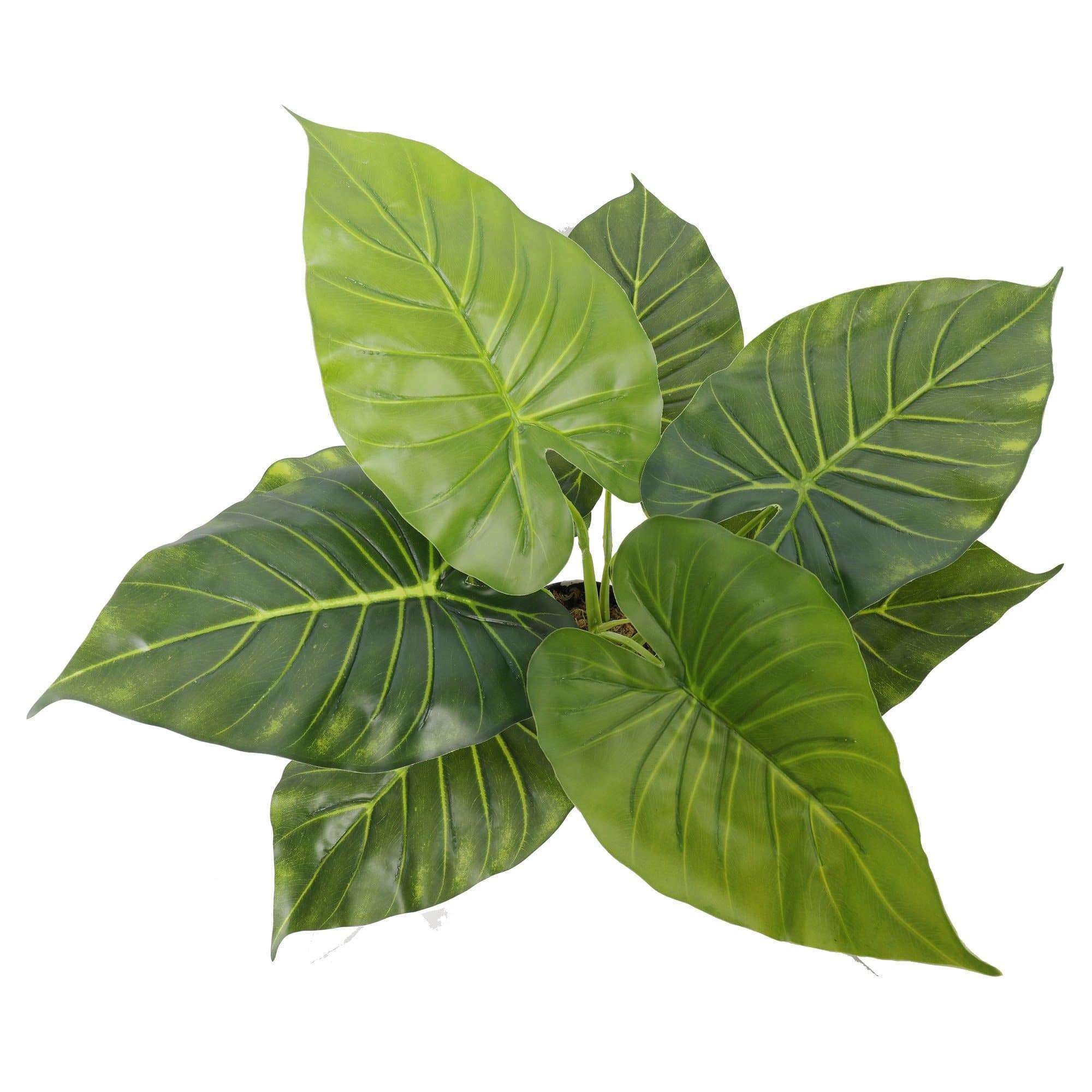 Artificial potted taro plant with vibrant green leaves in a decorative pot, measuring 55cm tall.