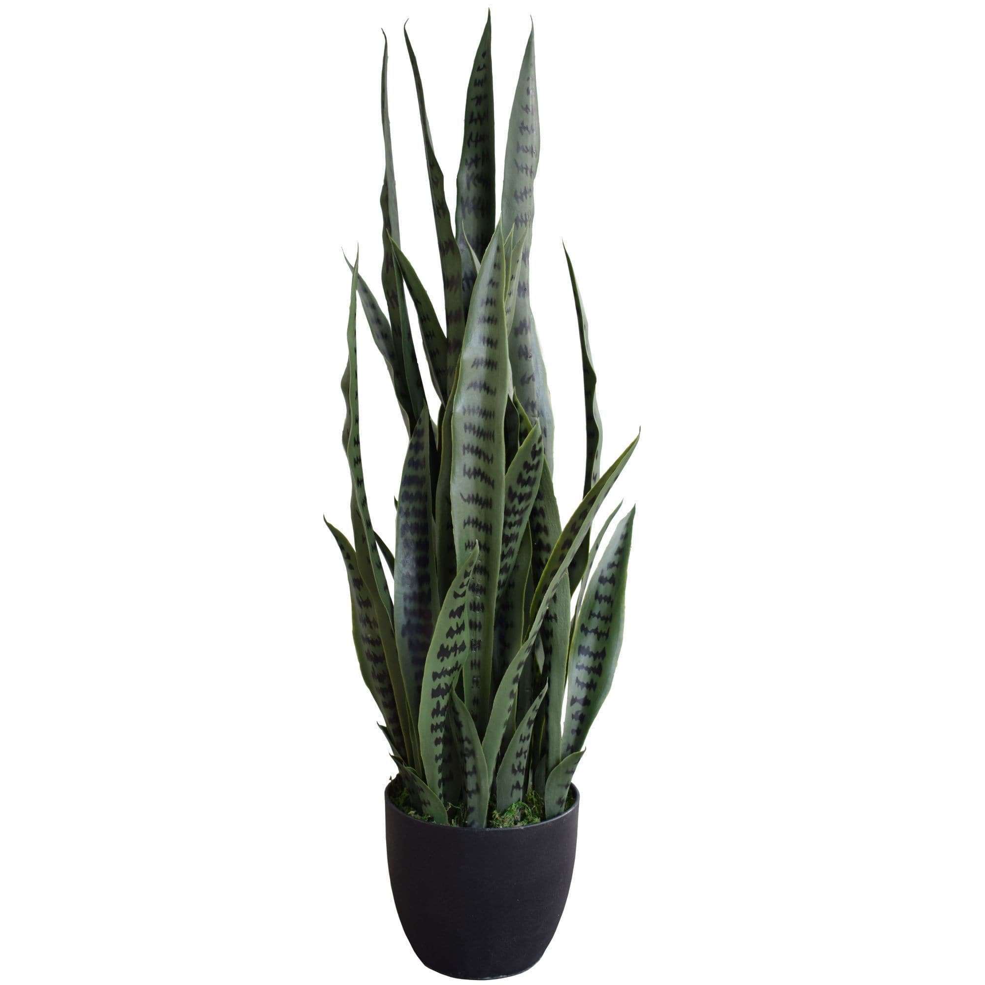 A 60cm tall artificial snake plant with realistic two-tone green leaves, perfect for indoor and outdoor decor.