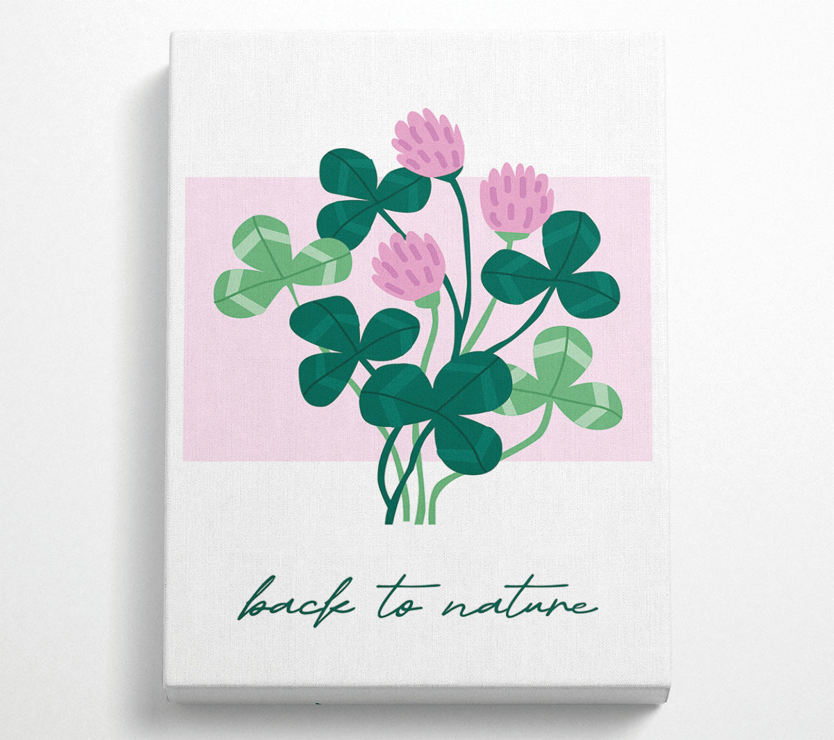 Back To Nature Flowers canvas artwork mounted on a 44mm box frame, featuring vibrant floral designs.