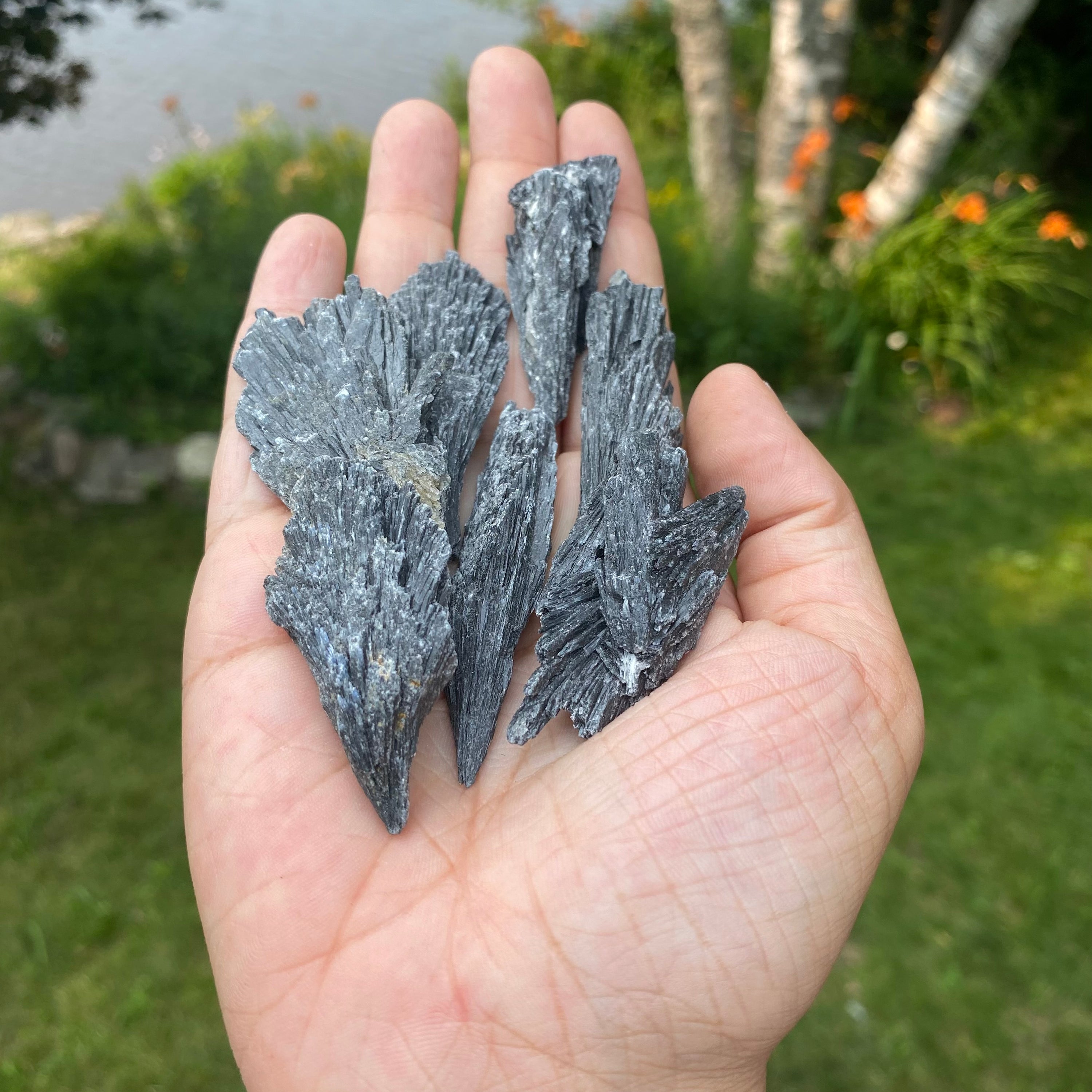 A collection of Black Kyanite Blades showcasing their unique fan-like clusters and natural variations in shape and color.