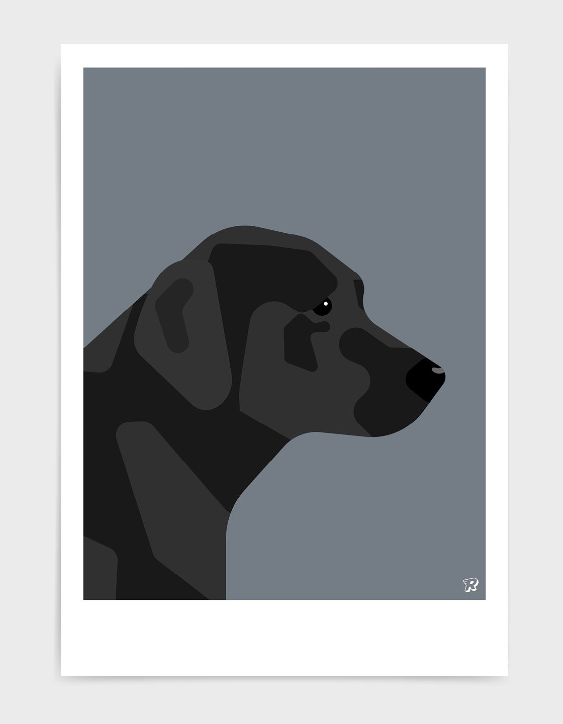 A friendly Black Labrador named Larry, eager to play and hang out with you.