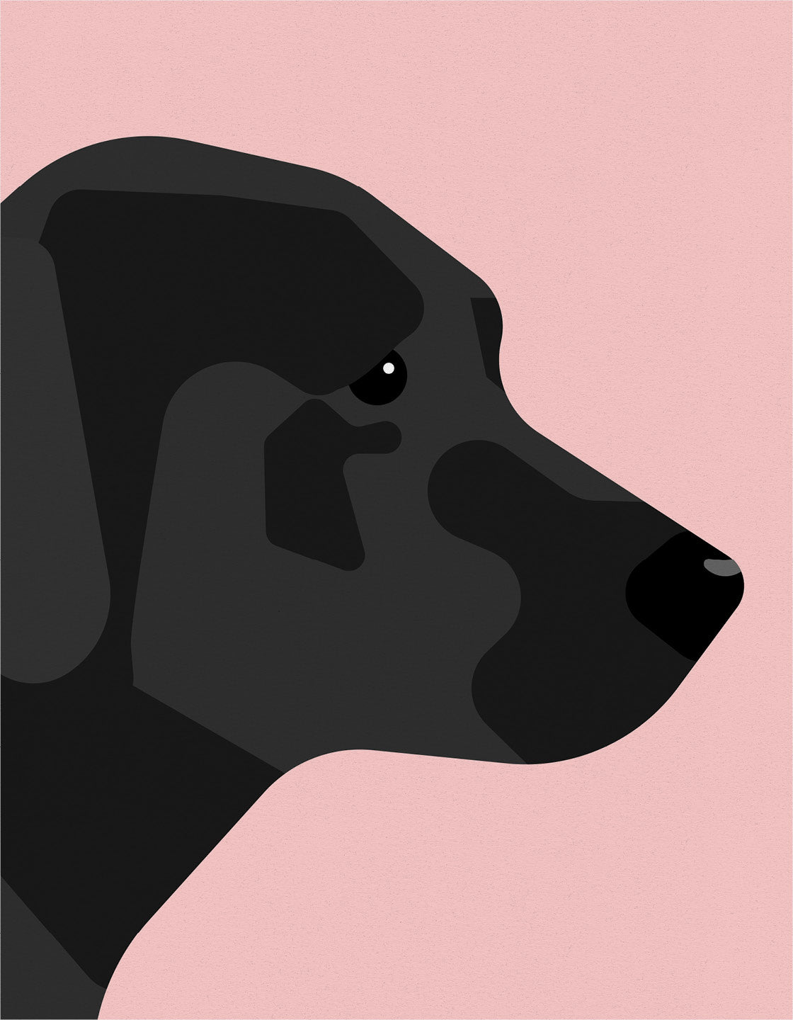 A friendly Black Labrador named Larry, eager to play and hang out with you.