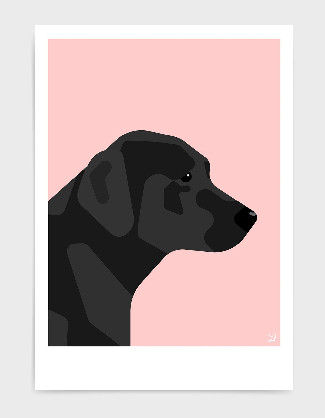 A friendly Black Labrador named Larry, eager to play and hang out with you.