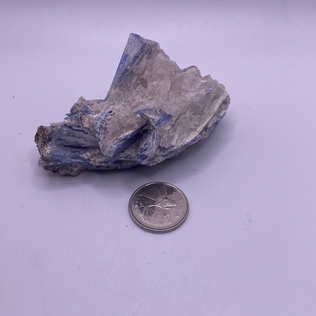 A beautiful Blue Kyanite Cluster showcasing vibrant blue hues and unique fibrous structures, perfect for collectors and home decor.