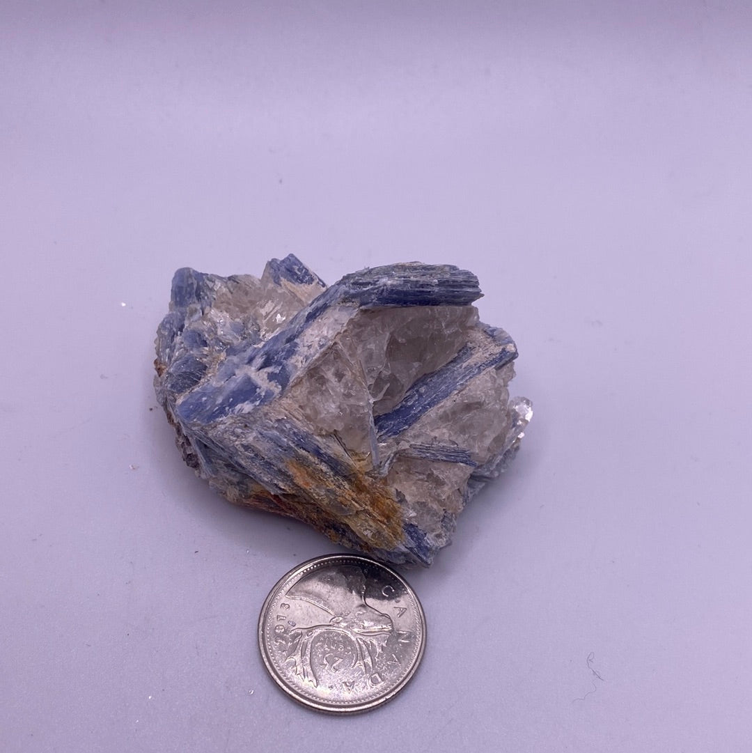 A beautiful Blue Kyanite Cluster showcasing vibrant blue hues and unique fibrous structures, perfect for collectors and home decor.