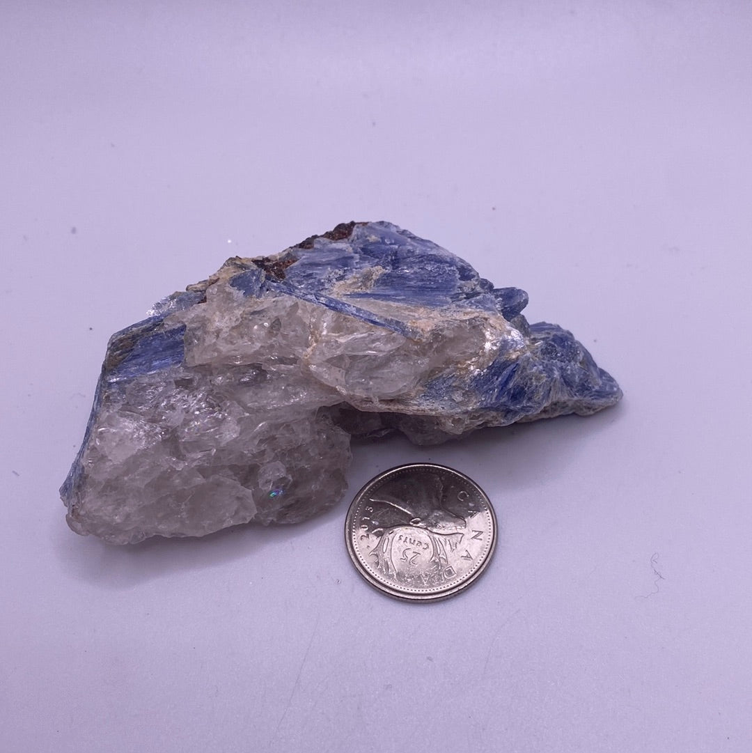 A beautiful Blue Kyanite Cluster showcasing vibrant blue hues and unique fibrous structures, perfect for collectors and home decor.