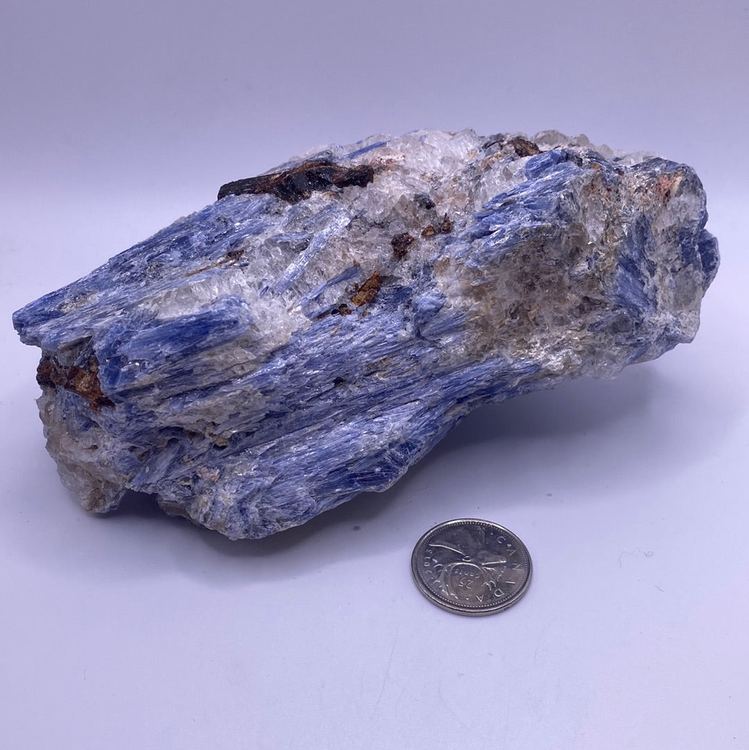 A beautiful Blue Kyanite Cluster showcasing vibrant blue hues and unique fibrous structures, perfect for collectors and home decor.