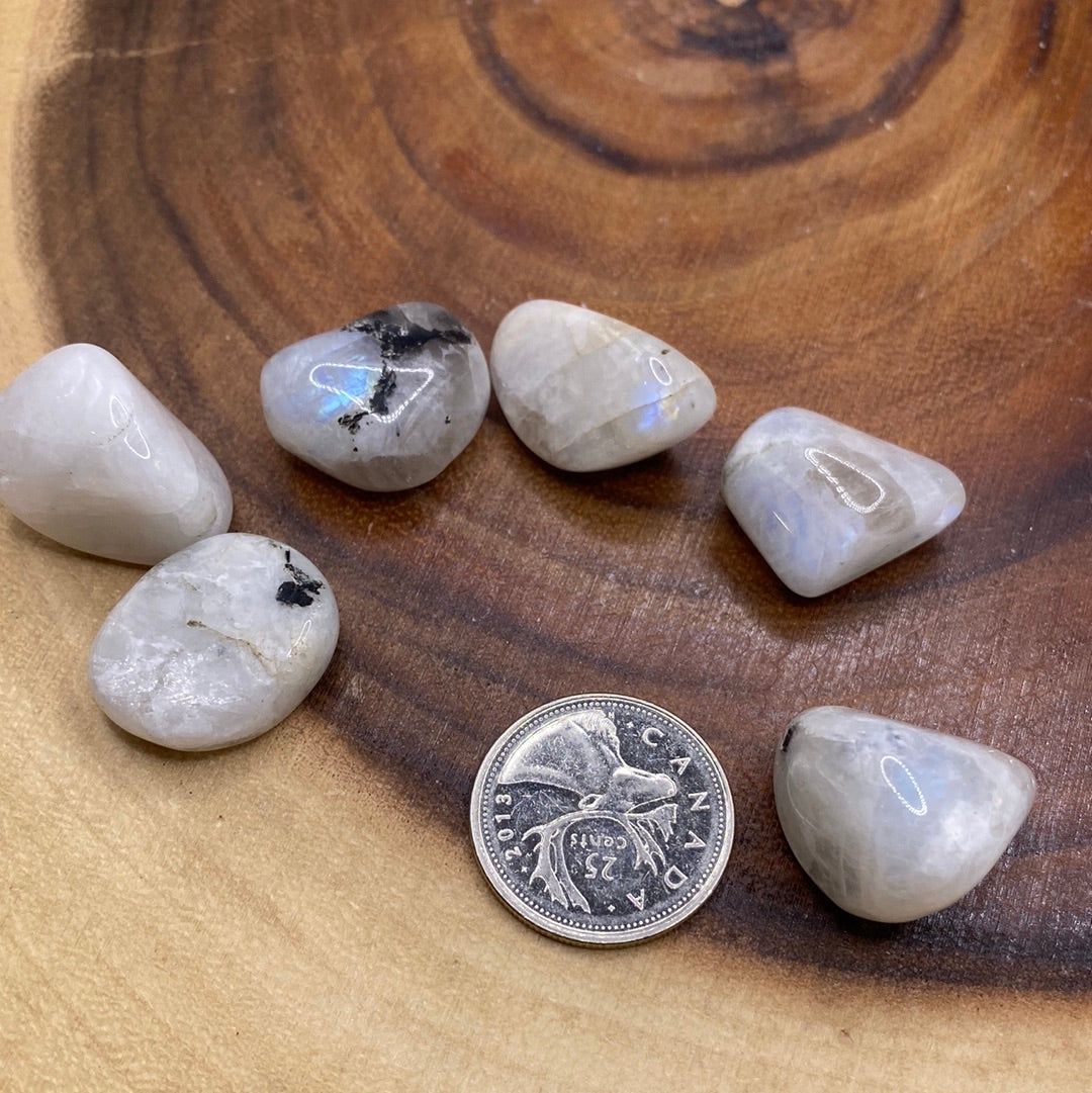 Small Blue Moonstone Tumbled crystal with milky white surface and blue swirls, perfect for meditation and emotional balance.