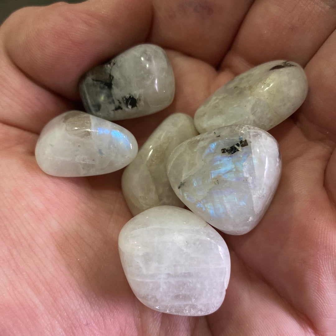Small Blue Moonstone Tumbled crystal with milky white surface and blue swirls, perfect for meditation and emotional balance.