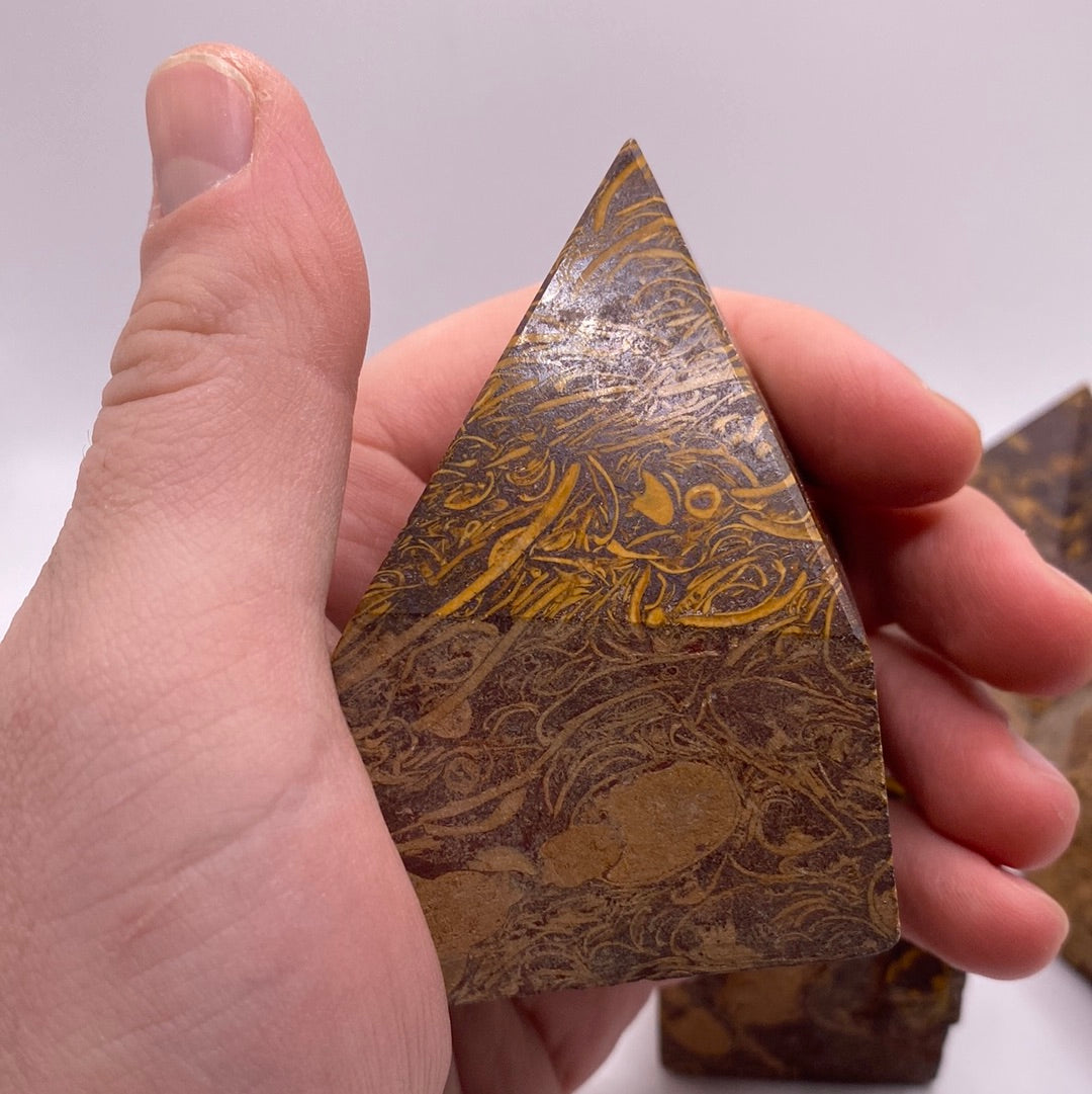 A polished Calligraphy Stone point showcasing its glossy surface and unique streaks of pink, yellow, and green against a black, gray, or white background.