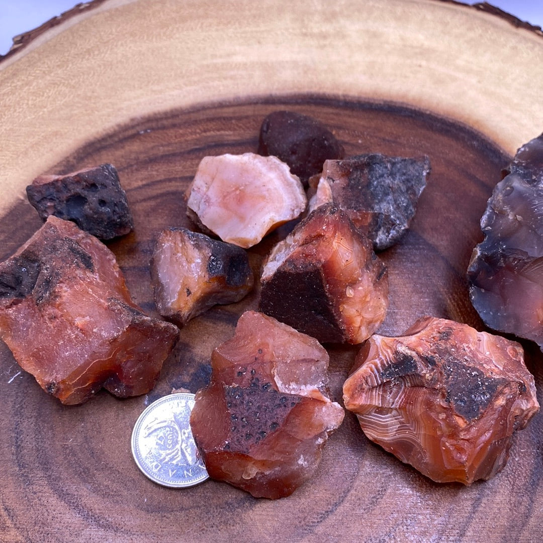 A collection of Carnelian Rough Cut stones showcasing their reddish-orange color and unique banding patterns.