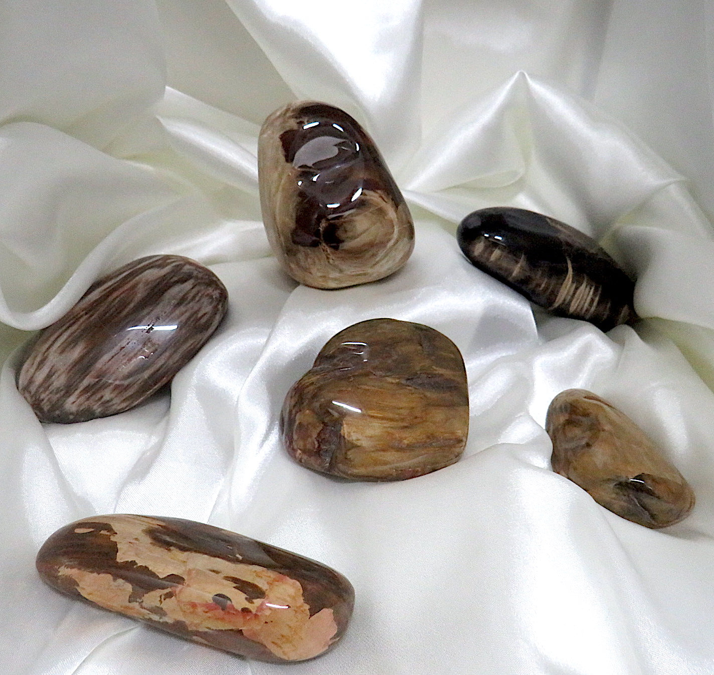 Chinchilla Petrified Wood Polished Freeform showcasing unique patterns and colors, a stunning decorative stone.