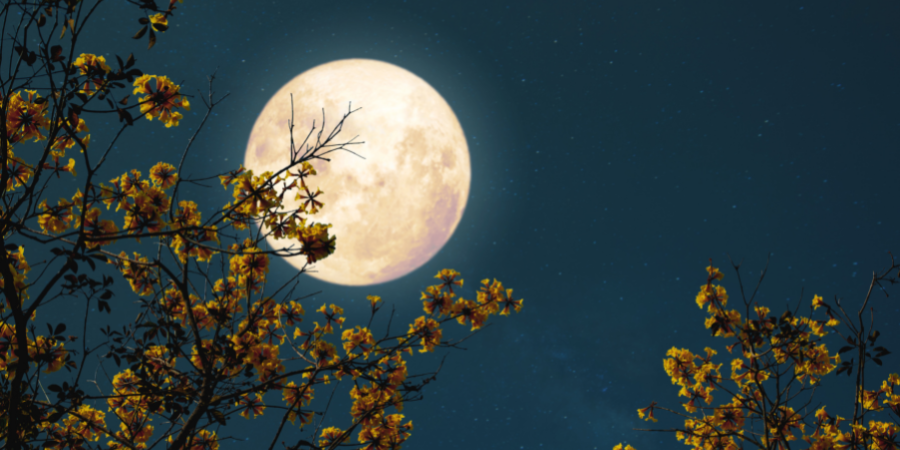 A serene full moon illuminating a peaceful night sky, symbolizing the power of manifestation and intention setting during the lunar phase.