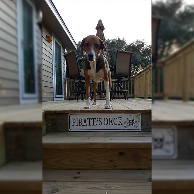 A spooky Dead End Sign made of high-quality aluminum, perfect for Halloween decorations, featuring eerie graphics and customizable text options.