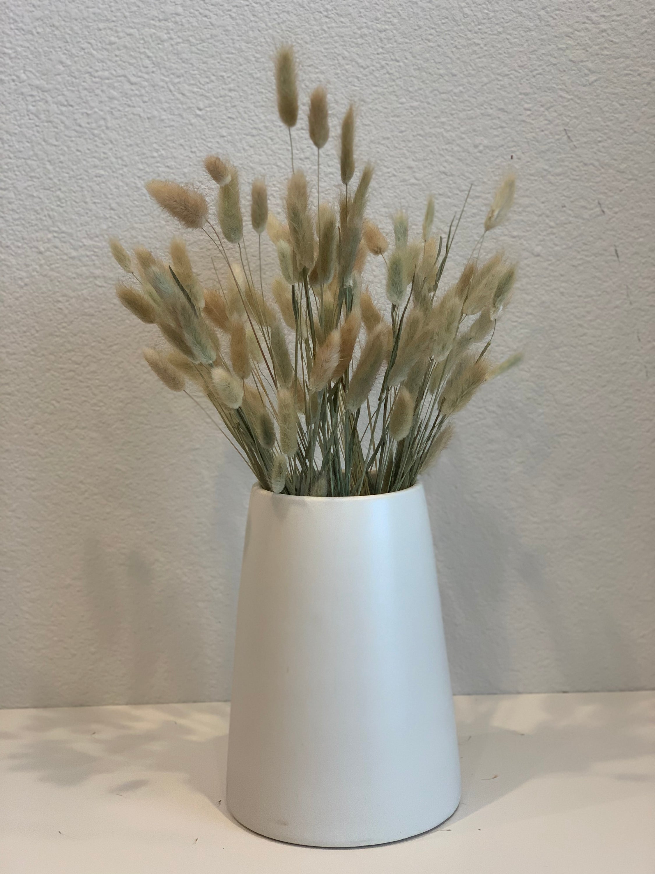 A bunch of dried bunny tails featuring approximately 60 soft, fluffy stems wrapped in a clear cellophane sleeve, perfect for home decor.