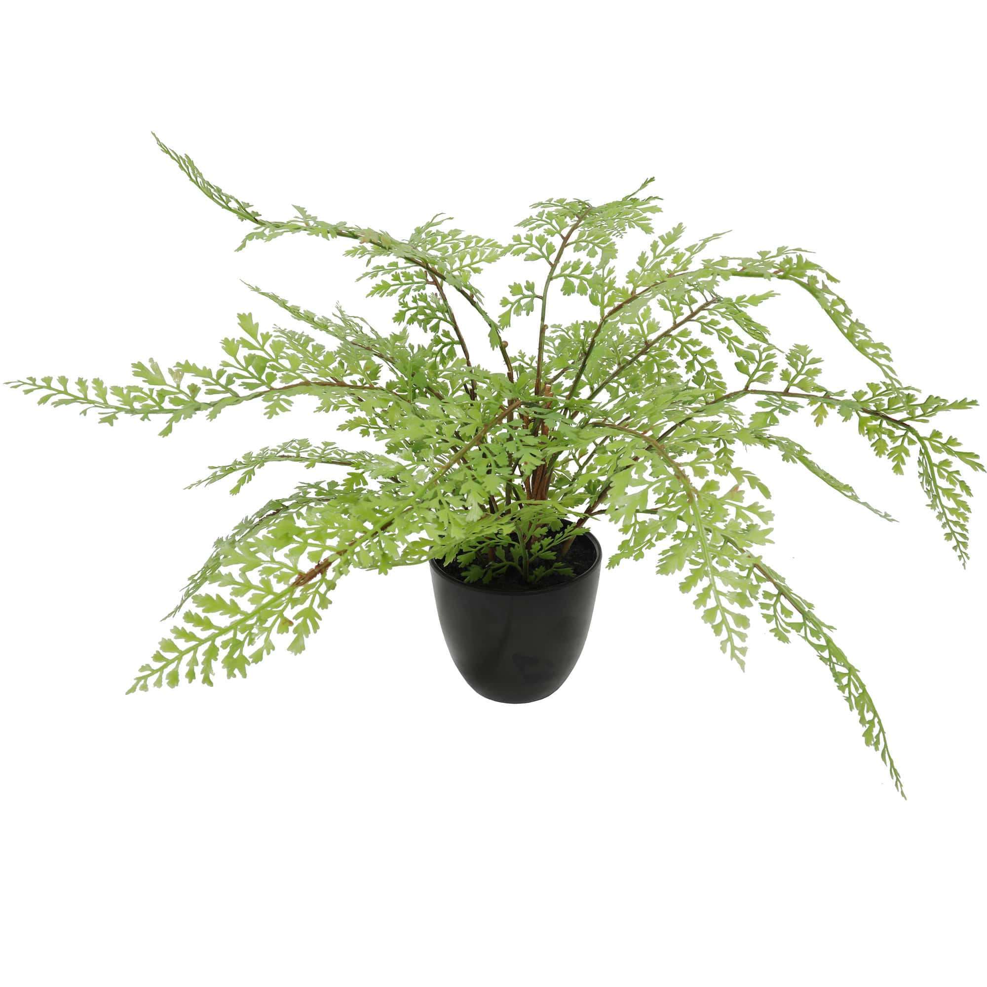 A realistic faux small potted fern measuring 35cm across, featuring delicate green foliage in a simple pot, perfect for indoor decor.