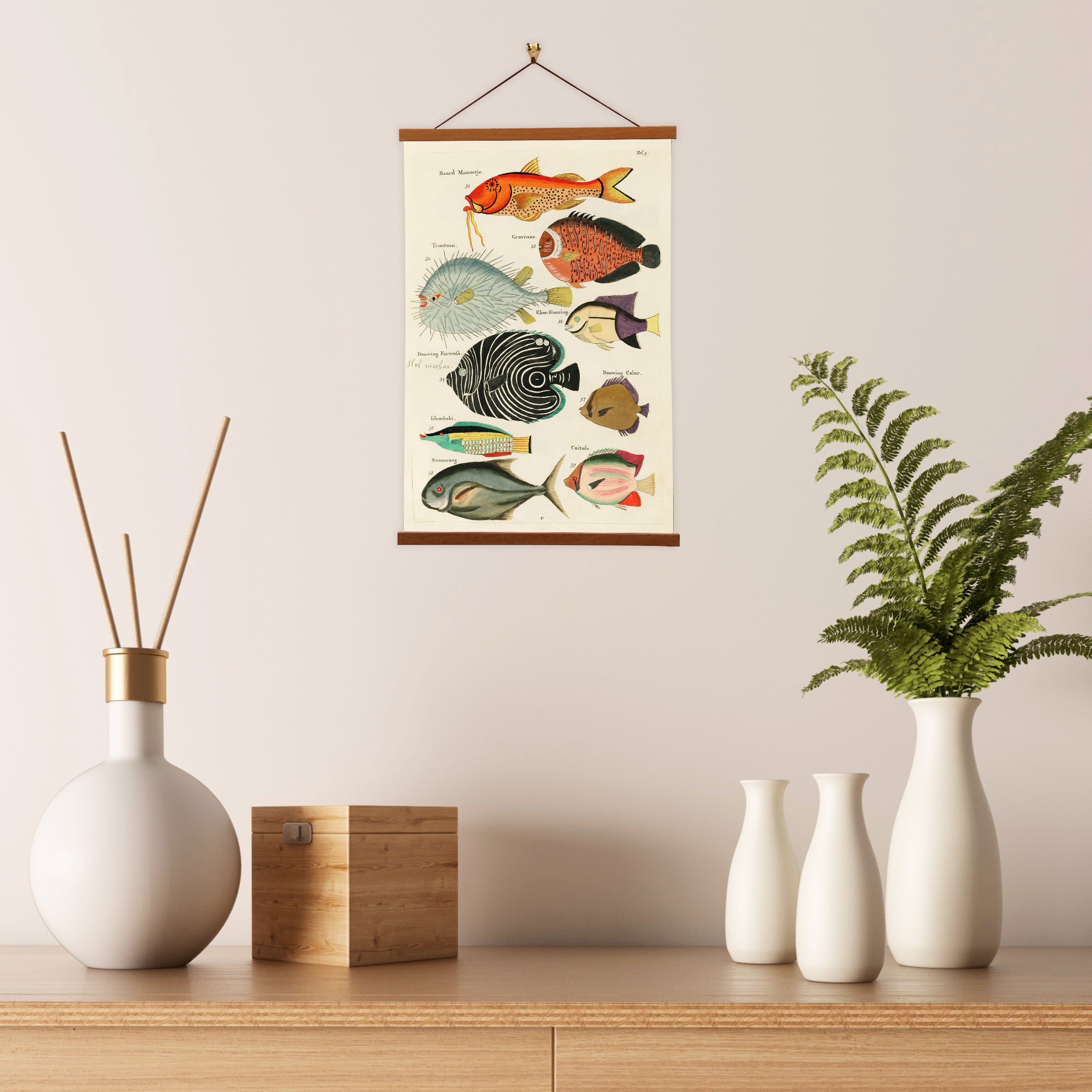 A vibrant canvas print depicting exotic fish species from the Moluccas, illustrated by Louis Renard, showcasing marine biodiversity.