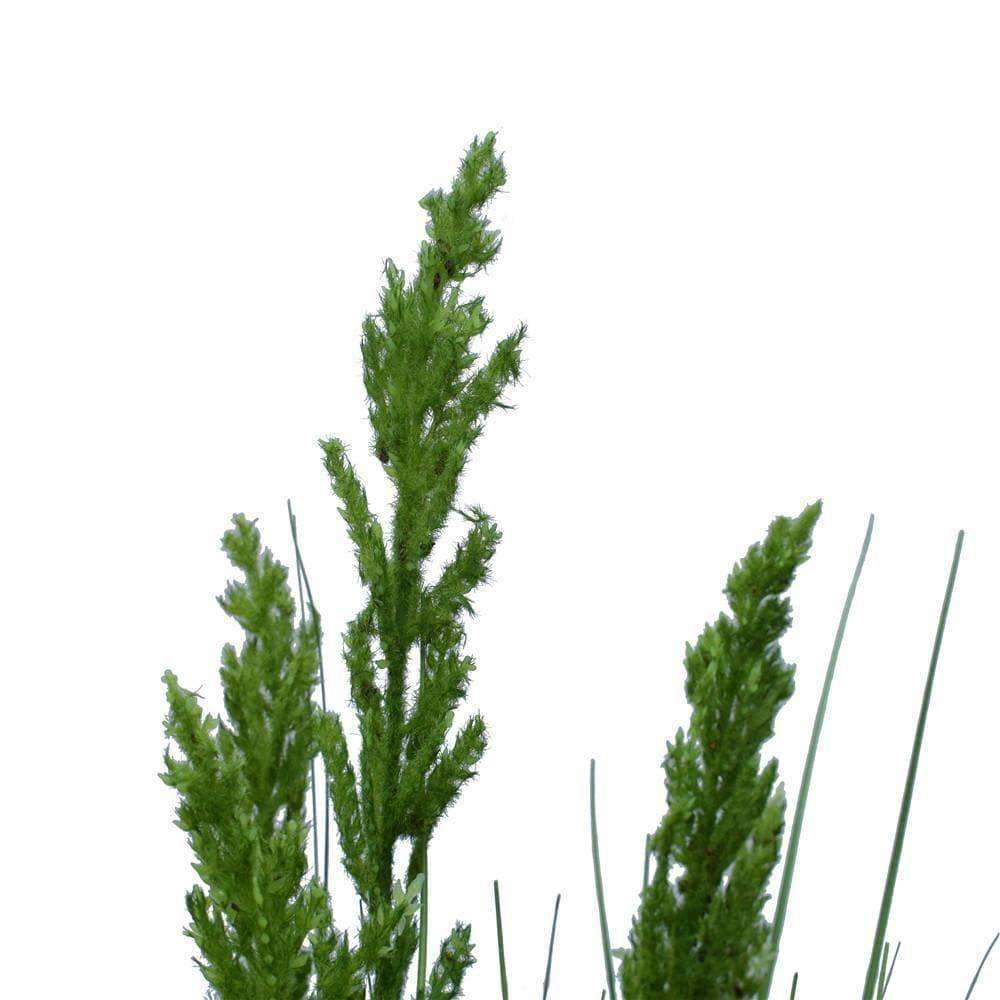 A tall 120cm artificial flowering native grass in a decorative pot, showcasing vibrant green blades and lifelike details, perfect for home decor.