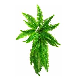 A lush 100cm Hanging Artificial Boston Fern with vibrant green leaves, perfect for indoor and outdoor decor.