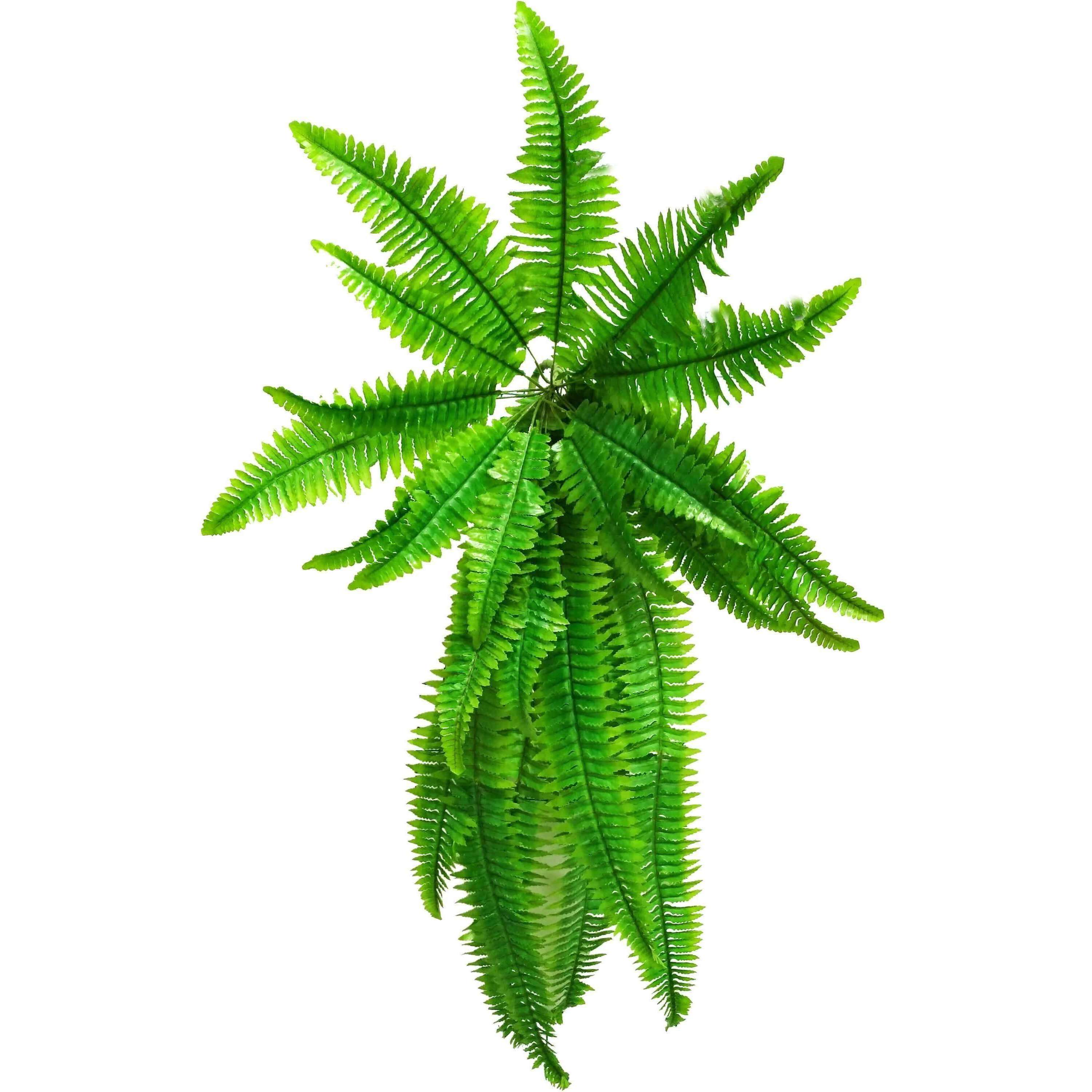 A lush 100cm Hanging Artificial Boston Fern with vibrant green leaves, perfect for indoor and outdoor decor.