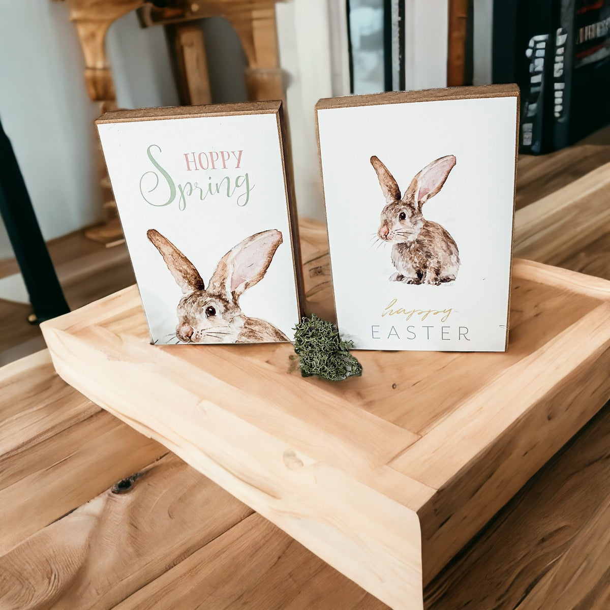 Hippity Hoppity Bunny wooden block signs in three styles for Easter decor.