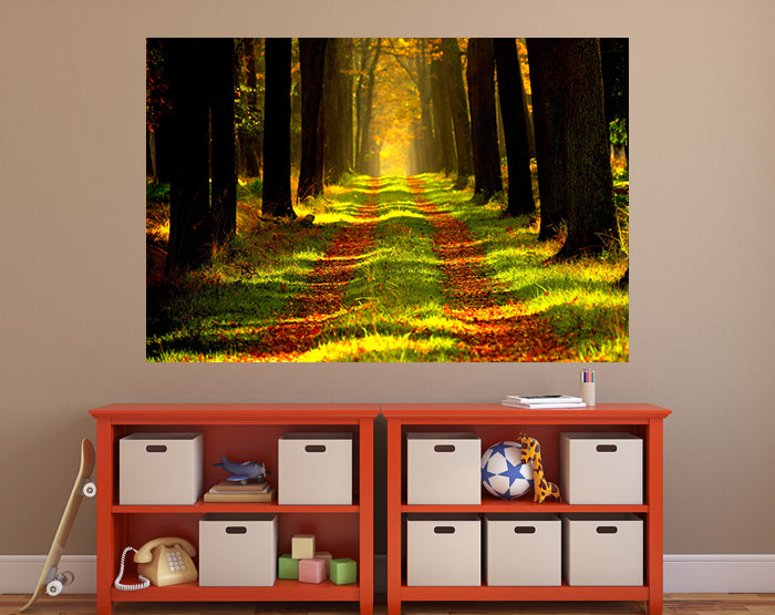 A collection of colorful and stylish removable wall decals displayed on a smooth surface, showcasing various designs suitable for home decor.