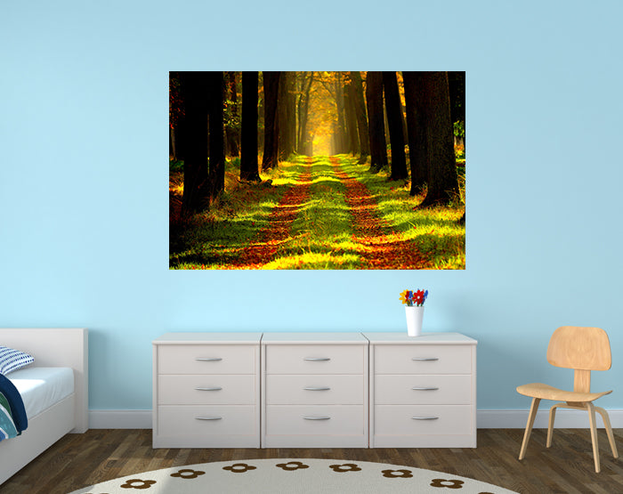 A collection of colorful and stylish removable wall decals displayed on a smooth surface, showcasing various designs suitable for home decor.