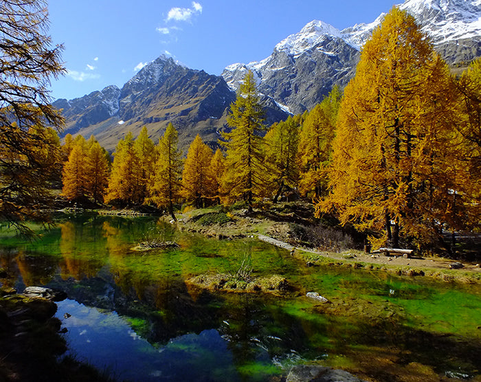 A collection of colorful removable wall decals displayed on a smooth surface, showcasing various designs and patterns.