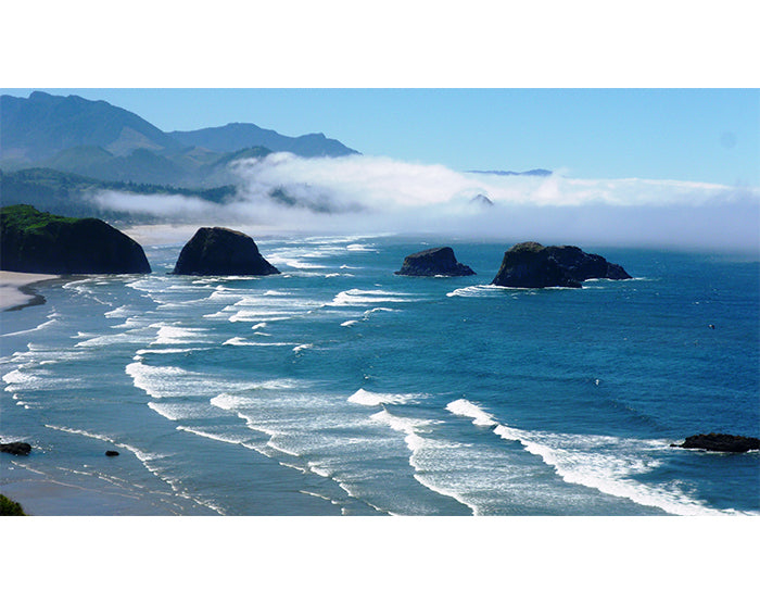 A collection of colorful removable wall decals displayed on a smooth surface, showcasing various designs and patterns.