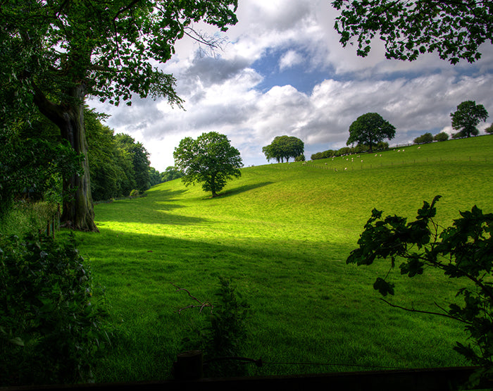 A collection of colorful removable wall decals displayed on a smooth surface, showcasing various designs and patterns.