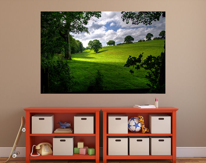 A collection of colorful removable wall decals displayed on a smooth surface, showcasing various designs and patterns.